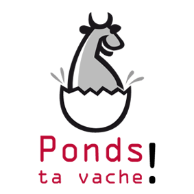 Logo ponttavache 1